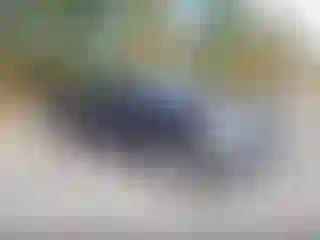 Vehicle Image- 2006 Ford F-150