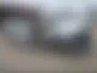 Vehicle Image- 2007 Ford F-150