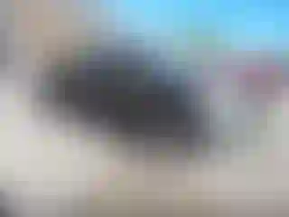 Vehicle Image- 2008 Ford F-150