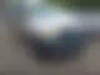 Vehicle Image- 2006 Ford F-150