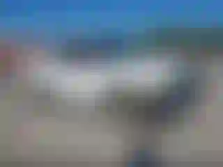 Vehicle Image- 2006 Ford F-150