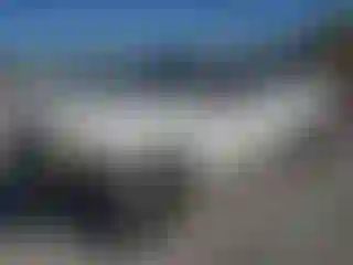 Vehicle Image- 2007 Ford F-150