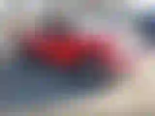 Vehicle Image- 2004 Ford F-150