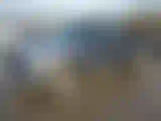 Vehicle Image- 2004 Ford F-150
