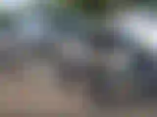 Vehicle Image- 2007 Ford F-150