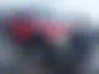 Vehicle Image- 2009 Ford F-150