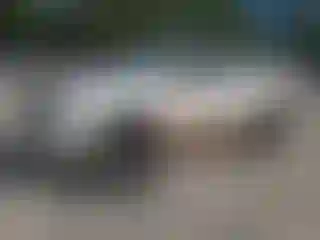 Vehicle Image- 2004 Ford F-150