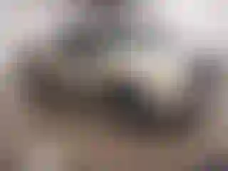 Vehicle Image- 2008 Ford F-150