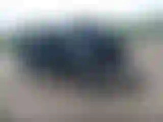 Vehicle Image- 2004 Ford F-150