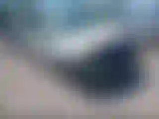 Vehicle Image- 2008 Ford F-150