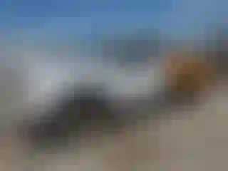 Vehicle Image- 2004 Ford F-150