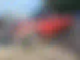 Vehicle Image- 2003 Ford F-150