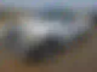 Vehicle Image- 2003 Ford F-150