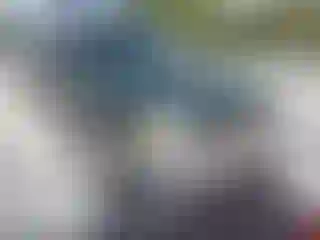 Vehicle Image- 2003 Ford F-150