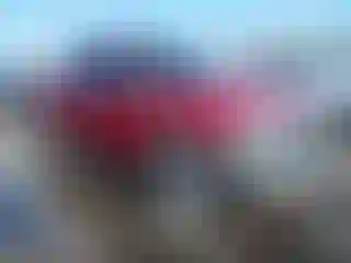 Vehicle Image- 2003 Ford F-150