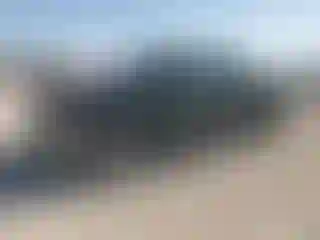 Vehicle Image- 2003 Ford F-150
