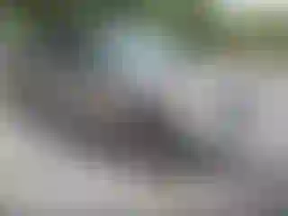 Vehicle Image- 2003 Ford F-150