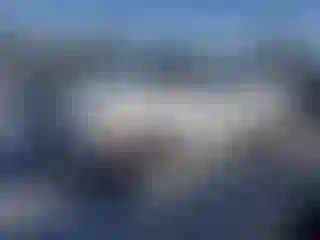 Vehicle Image- 2001 Ford F-150