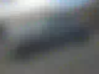 Vehicle Image- 2003 Ford F-150