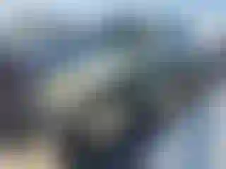 Vehicle Image- 2001 Ford F-150