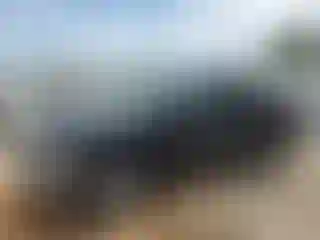Vehicle Image- 2002 Ford F-150