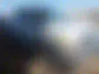 Vehicle Image- 2001 Ford F-150