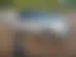 Vehicle Image- 2001 Ford F-150