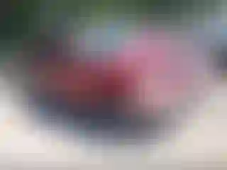 Vehicle Image- 2002 Ford F-150