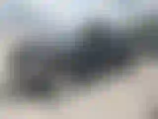 Vehicle Image- 2002 Ford F-150
