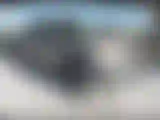 Vehicle Image- 2003 Ford F-150