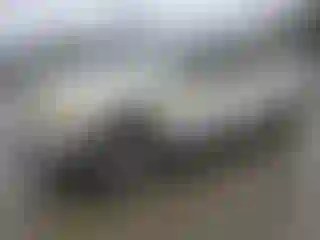 Vehicle Image- 2001 Ford F-150
