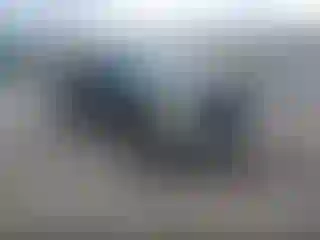 Vehicle Image- 2001 Ford F-150