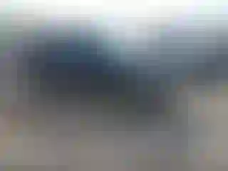 Vehicle Image- 2002 Ford F-150