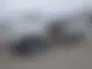Vehicle Image- 2001 Ford F-150
