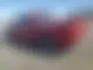 Vehicle Image- 2007 Ford F-150