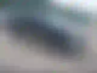 Vehicle Image- 2007 Ford F-150