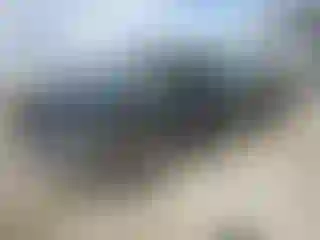 Vehicle Image- 2008 Ford F-150
