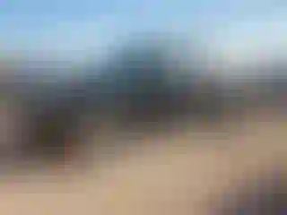 Vehicle Image- 2008 Ford F-150