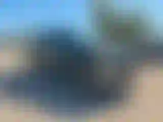 Vehicle Image- 2007 Ford F-150