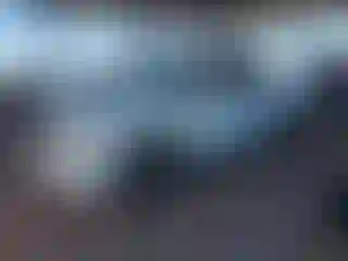 Vehicle Image- 2008 Ford F-150