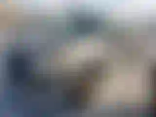 Vehicle Image- 2008 Ford F-150