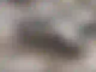 Vehicle Image- 2005 Ford F-150