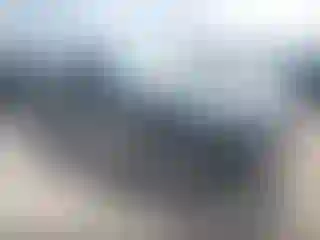 Vehicle Image- 2008 Ford F-150