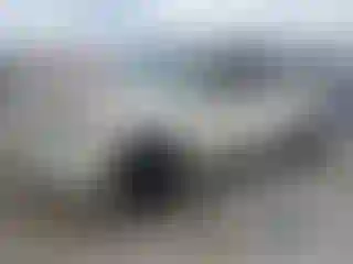 Vehicle Image- 2008 Ford F-150