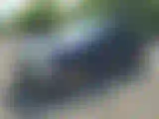 Vehicle Image- 2009 Ford F-150