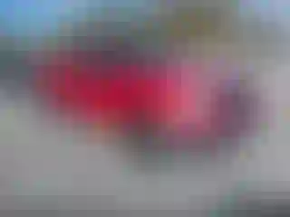 Vehicle Image- 2008 Ford F-150