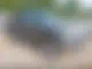 Vehicle Image- 2008 Ford F-150