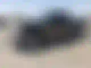 Vehicle Image- 2007 Ford F-150