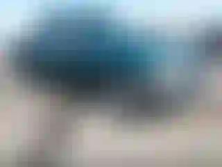 Vehicle Image- 2000 Ford F-150