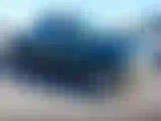 Vehicle Image- 2000 Ford F-150
